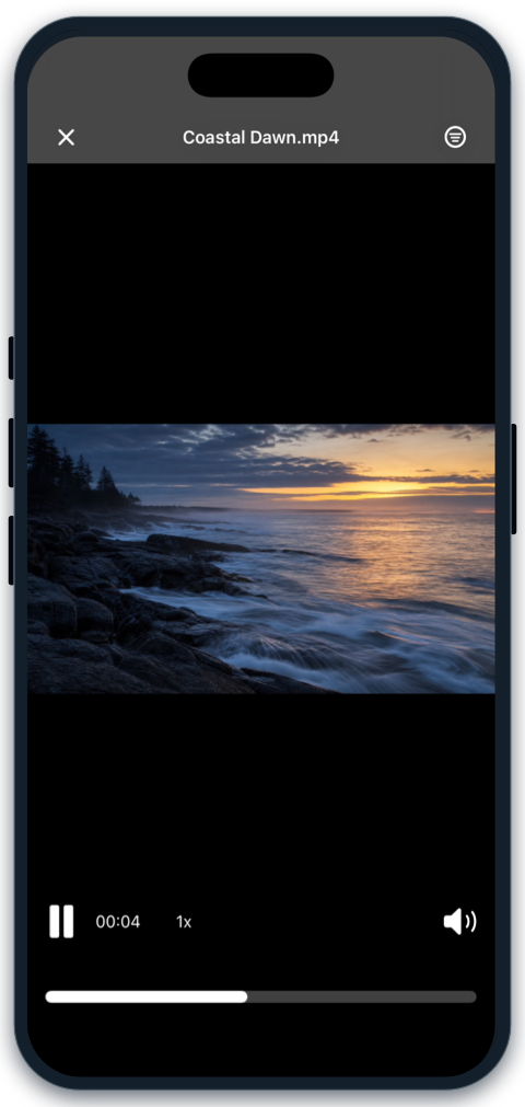 ALBA playing a saved video offline on iPhone